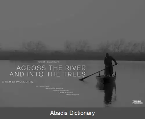 عکس در امتداد رودخانه به سمت درخت ها (فیلم)