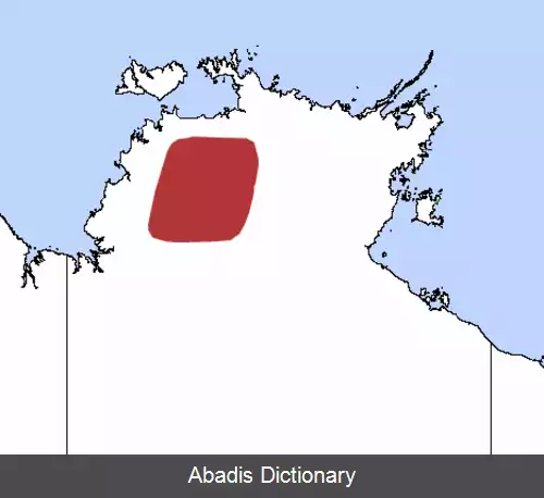 عکس ریزموش کاکادو