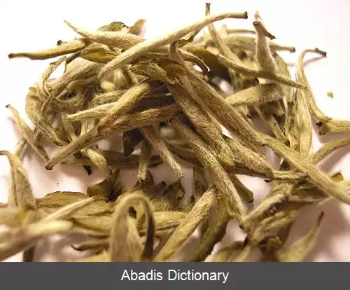 عکس چای سفید
