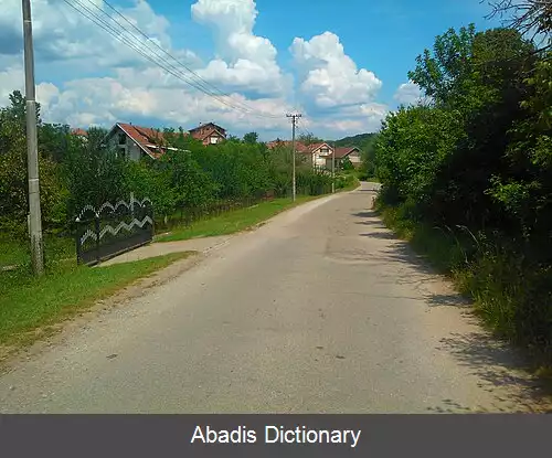 عکس زلوکوچانه