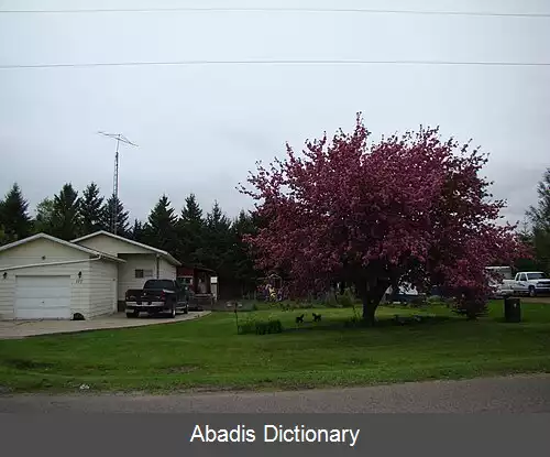 عکس آستین منیتوبا