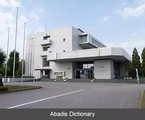 عکس کامینوکا توچیگی