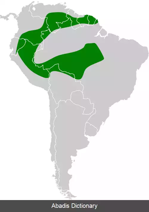 عکس درفش نوک نوک باریک