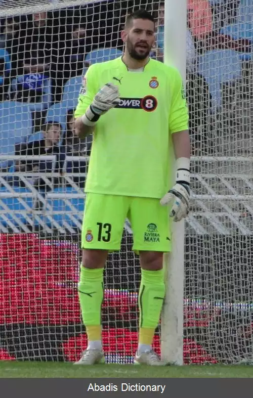 عکس کیکو کاسیا