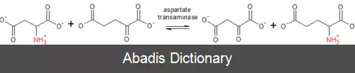 عکس آسپارتات ترانس آمیناز