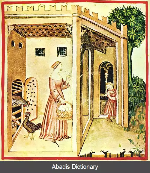 عکس زنان در قرون وسطی