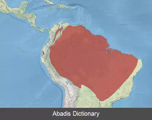 عکس فریادکش شاخ دار