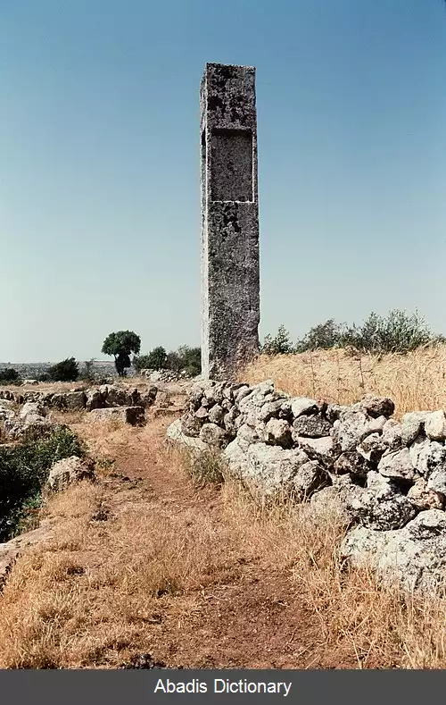عکس بشندلایا رشادیه