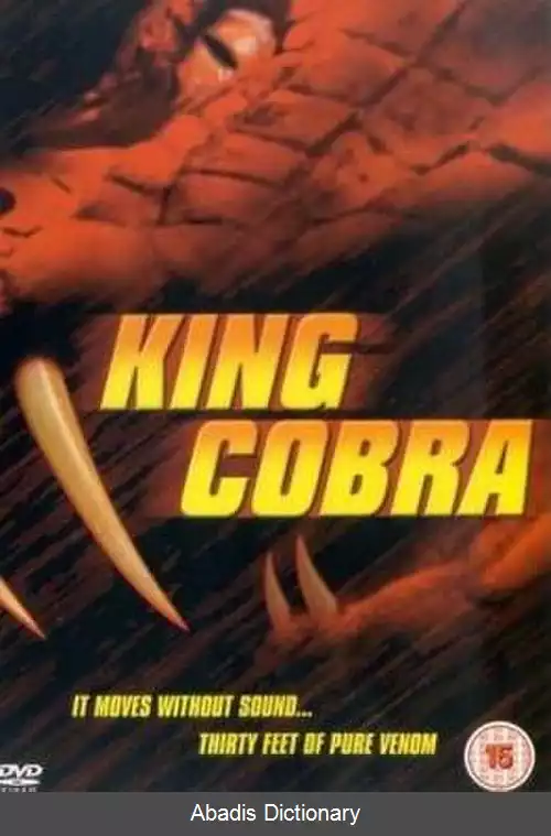 عکس شاه کبرا (فیلم ۱۹۹۹)