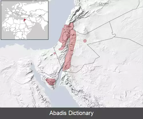 عکس سقنقور چشم ماری روپلی