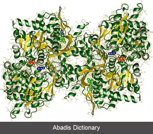عکس فسفوریلازها