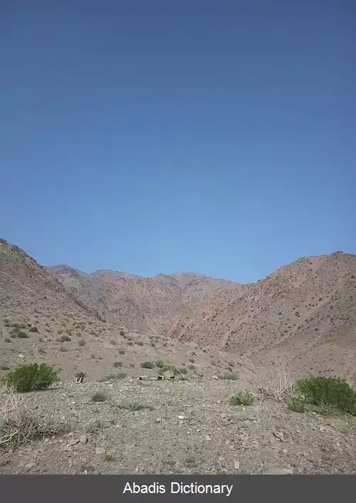 عکس استونند