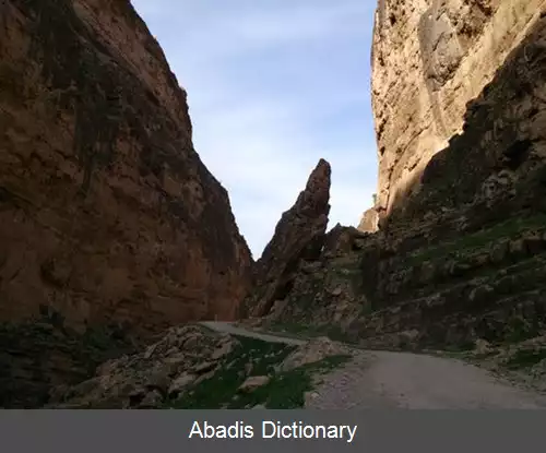 عکس زرانگوش