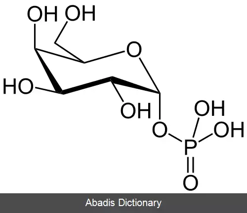 عکس گالاکتوز ۱ فسفات