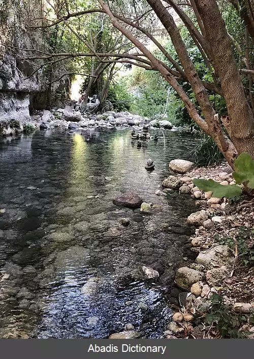 عکس کالسینارا