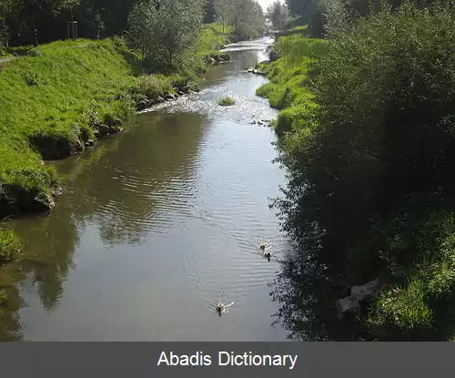 عکس روتاخ