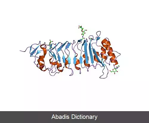 عکس تکرار غنی از لوسین