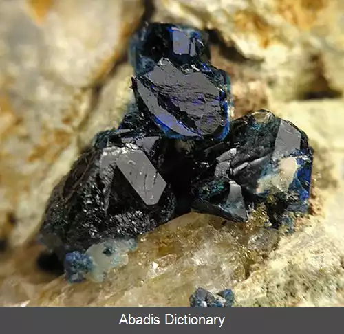 عکس اسکورزالیت