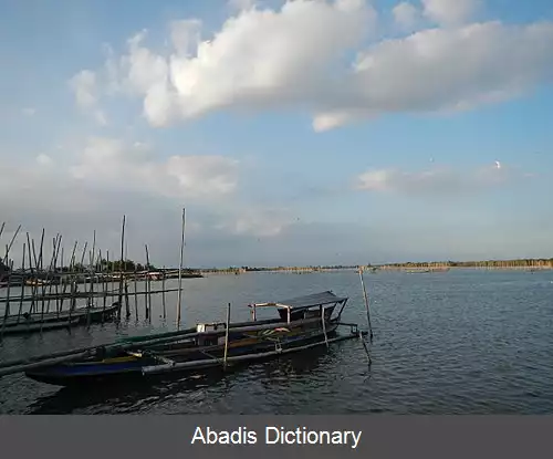 عکس ارنی باتان