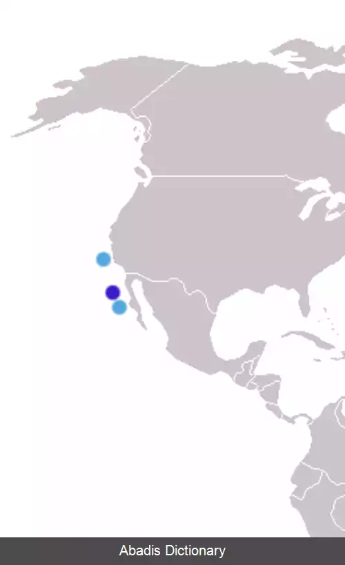 عکس فک خزپوش گوادالوپه