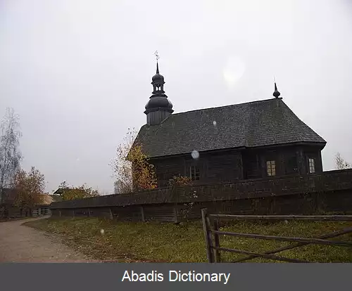 عکس استروچیتسی