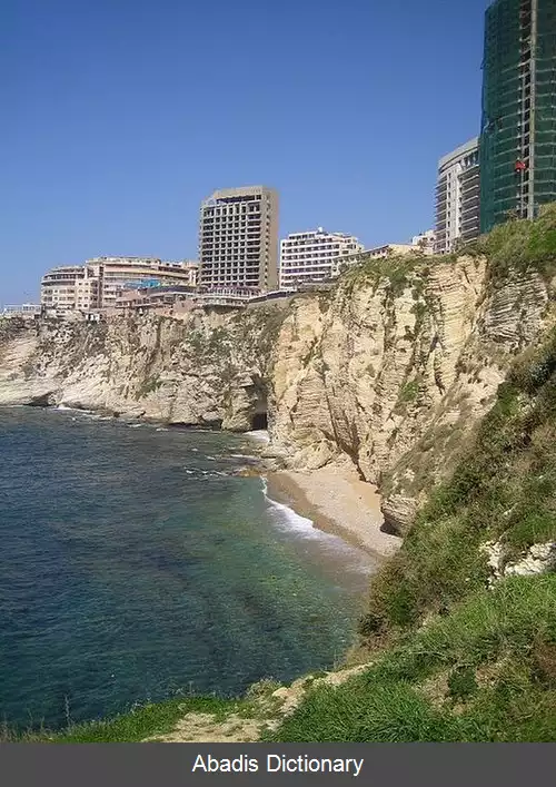 عکس راواشه