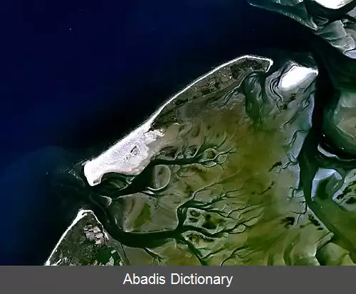 عکس فلیلاند