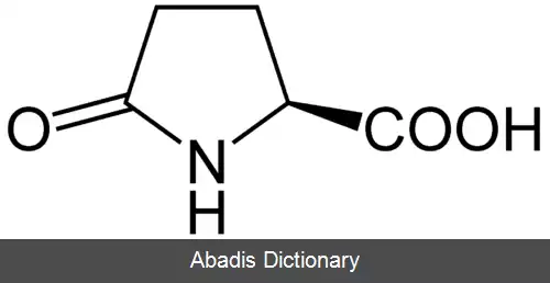 عکس اسید پیروگلوتامیک