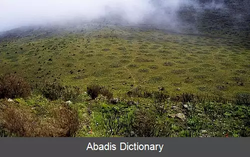 عکس زمین الگودار