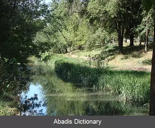 عکس رودخانه بیک (مولداوی)