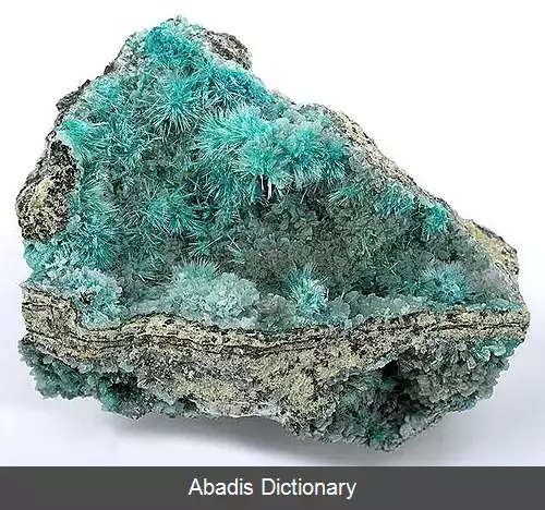 عکس فهرست کانی ها