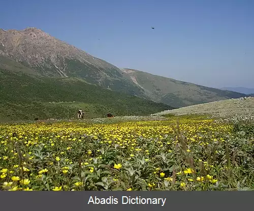 عکس جواهردشت