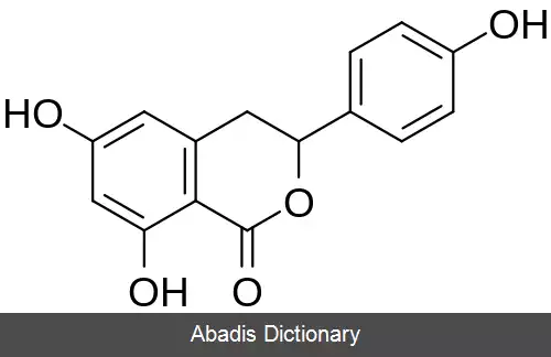 عکس تونبرگینول سی