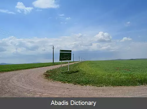 عکس دراج علیا