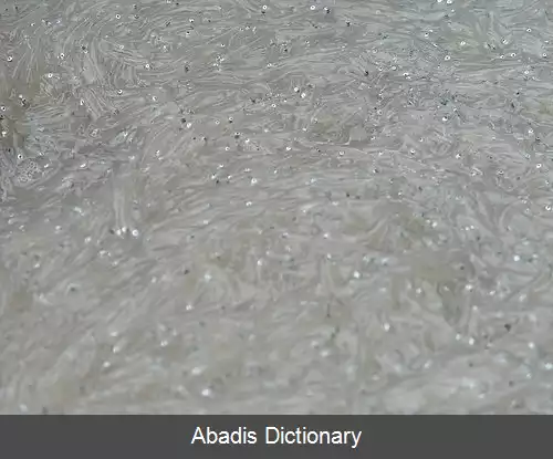 عکس ریزماهی
