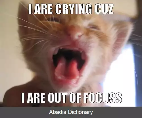 عکس لول کت