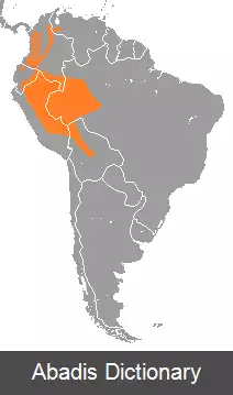 عکس پاکارانا