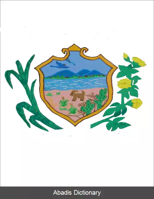 عکس کوراچا