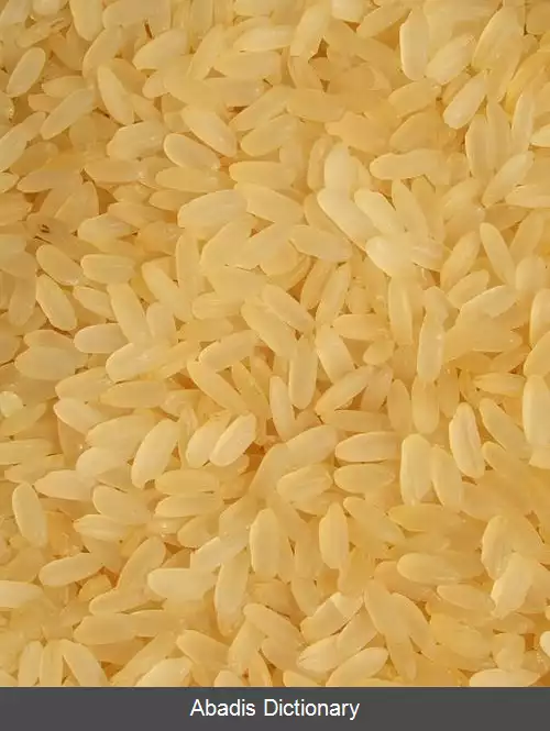 عکس برنج پاربویل