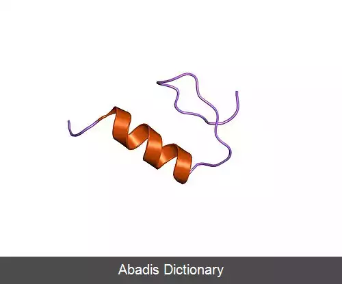 عکس فاکتور رونویسی Sp1