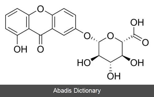 عکس زرد هندی