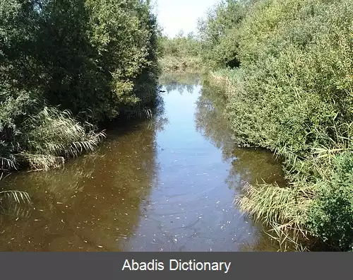 عکس رودخانه آلبک