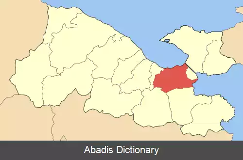 عکس کورینس