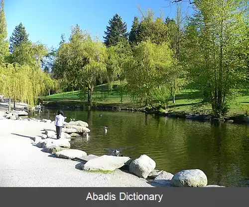 عکس برکه مرغابی