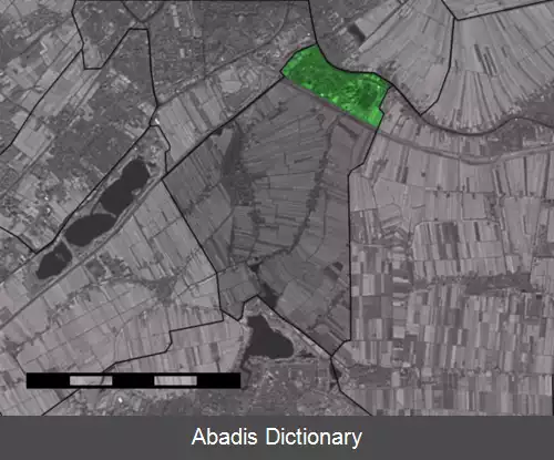 عکس زوترواده رین دیک