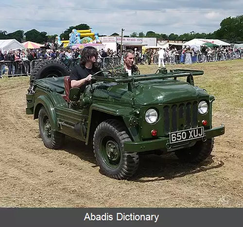 عکس آستین چمپ