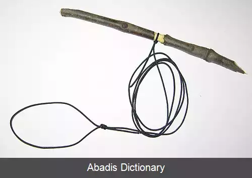 عکس ریسمان ماهی