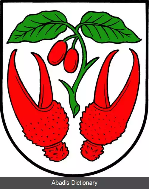 عکس درینوف (ناحیه کرومیریژ)