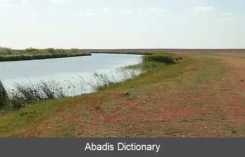 عکس کولانوتپس
