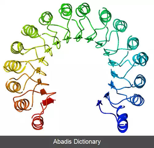 عکس تکرار غنی از لوسین